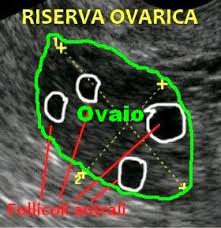 Età e risposta alla stimolazione ovarica: alcune considerazioni