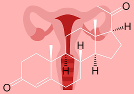 fase luteale endometrio